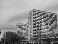 DSC06339
