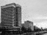 DSC06351