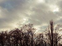 DSC06418