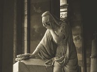 DSC01123